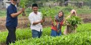 KWT Dilatih Bertani di Pekarangan Rumah Tangerang