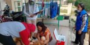 400 Anjing dan Kucing Peliharaan Penular Rabies di Kabupaten Tangerang Divaksin
