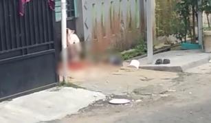 Tak Makan Sepekan Ditinggal Pemilik, Anjing di Tigaraksa Tangerang Serang Anak Perempuan