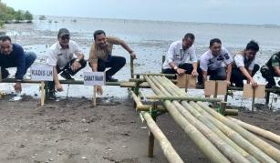 Jelang Hari Pers Nasional, PWI Kabupaten Tangerang Tanam 1.000 Mangrove di Mauk