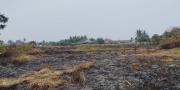 9 Kecamatan di Kabupaten Tangerang Terdampak Kebakaran Lahan Selama Agustus, Hanguskan 12 Hektar