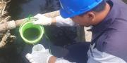 Diduga Tercemar Limbah, DLHK Kabupaten Tangerang Ambil Sampel Air Sungai Cimanceuri