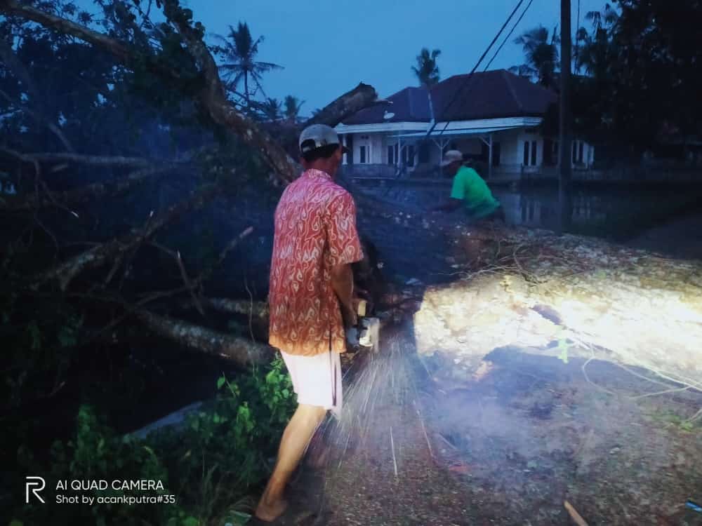 Warga sekitar saat menebang pohon berukuran besar tumbang akibat diterjang angin Kabupaten Tangerang, Minggu 20 Juni 2021 sekitar pukul 15.30 WIB.