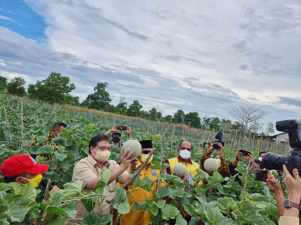 Menteri Koordinator Bidang Perekonomian Airlangga Hartarto saat memegang buah melon di perkebunan bersama jajaranya.