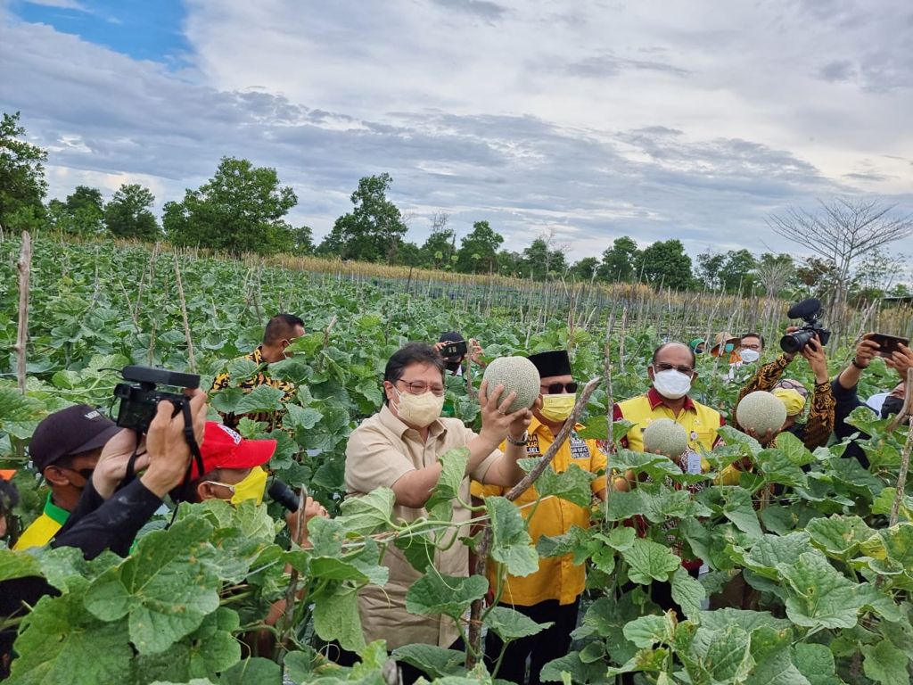Menteri Koordinator Bidang Perekonomian Airlangga Hartarto saat memegang buah melon di perkebunan bersama jajaranya.