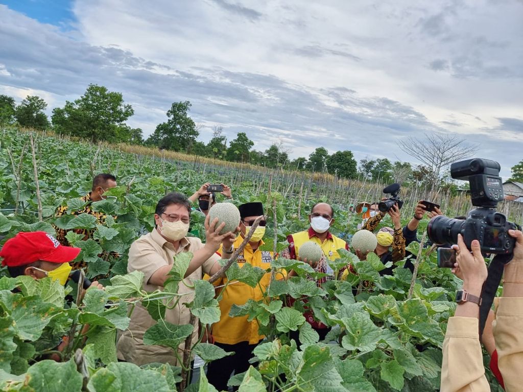 Menteri Koordinator Bidang Perekonomian Airlangga Hartarto saat memegang buah melon di perkebunan bersama jajaranya.