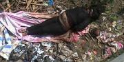 Mayat Wanita Tanpa Identitas dengan Mulut dan Tangan Terikat ditemukan di Neglasari