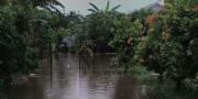 Ngetag Foto Banjir Parah, Warga Paninggilan Utara Tangerang di-unfriend aparat kelurahan 