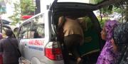 3 Wanita Korban Tabrak Lari di Tangerang City, 1 Tewas