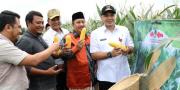 Panen Jagung & Melon di Teluknaga, Zaki: Ayo Berkebun