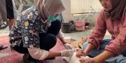 Cegah Rabies, DKP Tangerang Terima Pemeriksaan Hewan Gratis