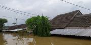 600 Jiwa di Pesona Serpong Jadi Korban Banjir Setinggi Atap Rumah