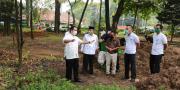 COVID-19, Pemkot Tangerang Geber Pembibitan Tanaman Mandiri