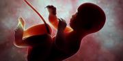 Diduga Hasil Aborsi, Janin Bayi 4 Bulan Dikubur di Pondok Aren