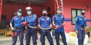 Ular Kobra 2 Meter Ditangkap Damkar Tangsel