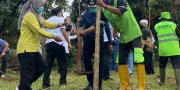 Cintai Kota, Disbudparman Kota Tangerang Ajak Masyarakat Tanam Eucalyptus & Tabebuia