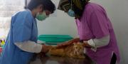 Yuk Ikut Vaksin Rabies Hewan Peliharaan Gratis di Kota Tangerang