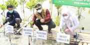 Pemkab Tangerang Bersama Unpam Tanam 1.000 Bibit Mangrove di Ketapang Urban Akuakultur