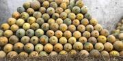 Pedagang Melon di Pasar Induk Tanah Tinggi Masih Raup Untung Kala Pandemi