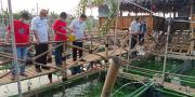 Bangkit dari Pandemi, Kampung Wisata Membudidaya Ikan 184 Keramba