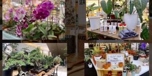Cari Berbagai Tanaman Hias, Ada Urban Garden di Summarecon Mall Serpong