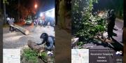 Empat Pohon di Kota Tangerang Tumbang Dampak Angin Kencang