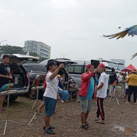 Aksi Burung Parrot Jadi Tontonan Menarik di BSD Pagedangan Tangerang Setiap Sabtu-Minggu
