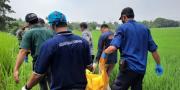 Mayat Pria Tanpa Busana Ditemukan Mengambang di Jayanti Tangerang