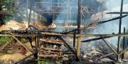 Kandang Terbakar, Seribu Ekor Ayam di Tigaraksa Tangerang Mati Terpanggang