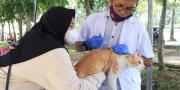 Sebagian Besar Hewan Peliharaan di Kabupaten Tangerang Belum Divaksin Rabies