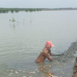 Petambak di Kemiri Tangerang Keluhkan Akses Jalan Licin hingga Pertumbuhan Ikan Buruk
