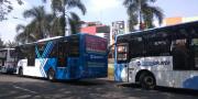 Bus Transjakarta Tertahan Gegara Banjir di Puri Beta Tangerang, Operator Siapkan Skema Penanggulangan