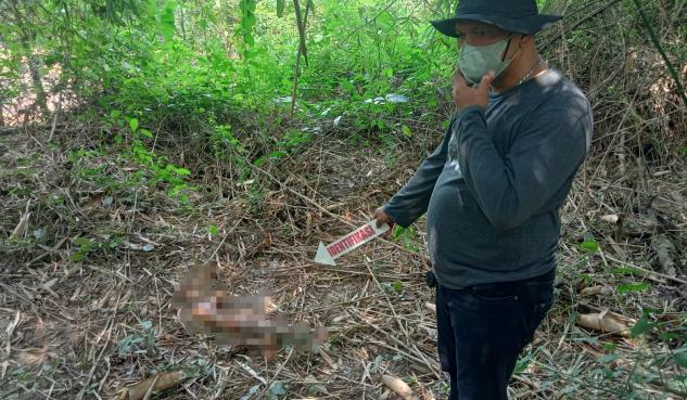 Kaki Kanan Korban Mutilasi Tenjo Ditemukan Tengah Dimakan Biawak di Tigaraksa Tangerang